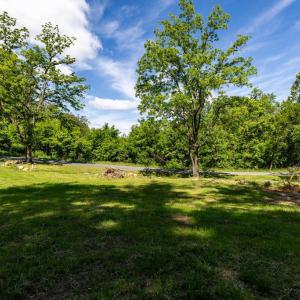 Photo #24 of 1097 BALKAMORE HILL RD, STANLEY, VA 1.2 acres