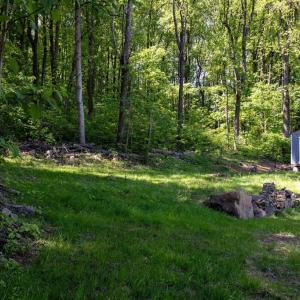 Photo #25 of 1097 BALKAMORE HILL RD, STANLEY, VA 1.2 acres