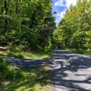 Photo #33 of 1097 BALKAMORE HILL RD, STANLEY, VA 1.2 acres