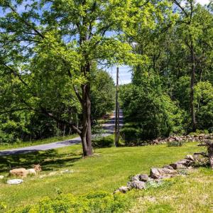 Photo #36 of 1097 BALKAMORE HILL RD, STANLEY, VA 1.2 acres
