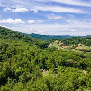 Photo #47 of 1097 BALKAMORE HILL RD, STANLEY, VA 1.2 acres