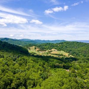 Photo #51 of 1097 BALKAMORE HILL RD, STANLEY, VA 1.2 acres