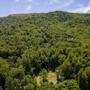 Photo #53 of 1097 BALKAMORE HILL RD, STANLEY, VA 1.2 acres