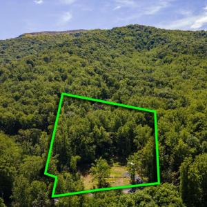 Photo #54 of 1097 BALKAMORE HILL RD, STANLEY, VA 1.2 acres