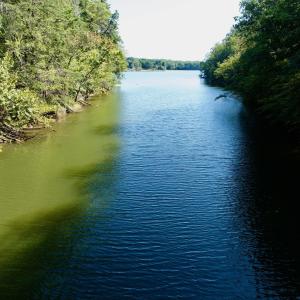 Leesville - 9
