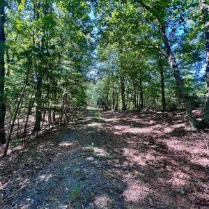 Leesville - 59