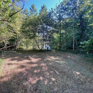 Leesville - 2