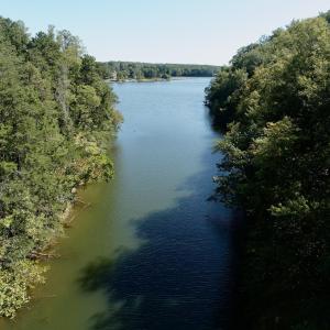 Leesville - 8