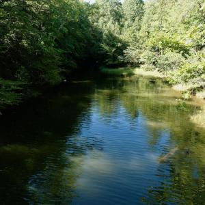 Leesville - 10