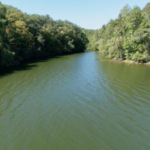 Leesville - 17