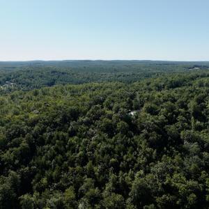 Leesville - 24