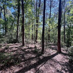 Leesville - 58