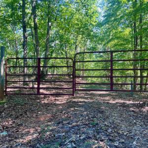 Leesville - 64