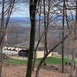 IMG_9890