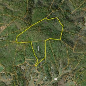 Foster aerial 1