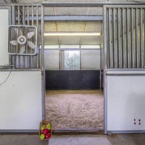 9195 Springwood Rd-41 - Copy