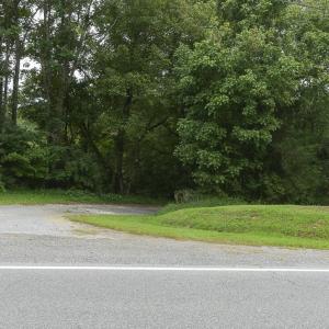 9195 Springwood Rd-65