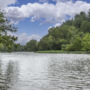 9195 Springwood Rd-74 - Copy