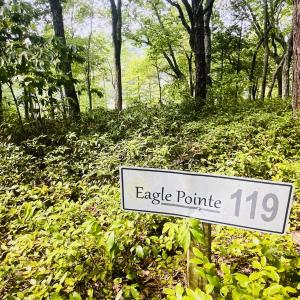 Eagle Pointe 119