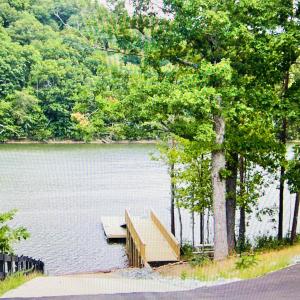 Community boat ramp:dock