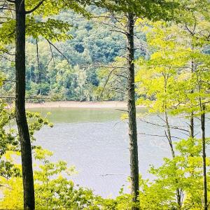 Main Photo