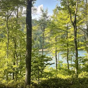 Views  Lot 119
