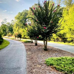 Eagle Pointe Shores Entrance