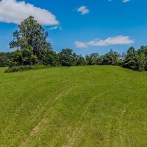 DJI_20250825123702_0347_D