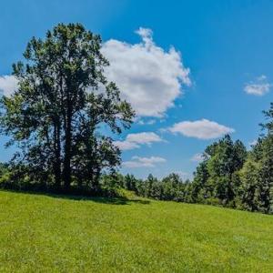 DJI_20250825123737_0349_D