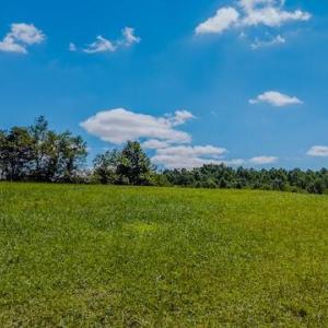 DJI_20250825123741_0350_D