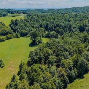 DJI_20250825123909_0357_D
