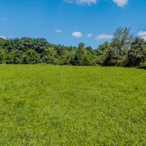 DJI_20250825124303_0366_D