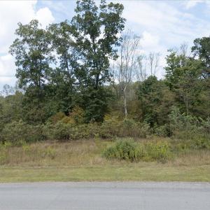 01-21 Watchtower Dr - Copy