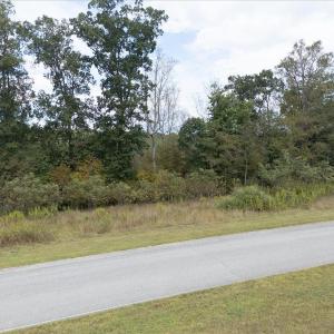 03-21 Watchtower Dr - Copy