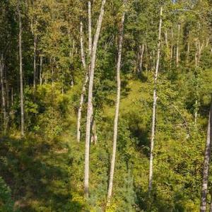 DJI_20250918155748_0162_D