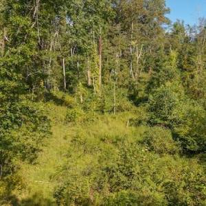 DJI_20250918155809_0164_D
