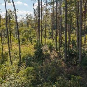 DJI_20250918155815_0165_D