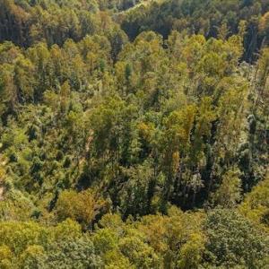DJI_20250918155917_0168_D
