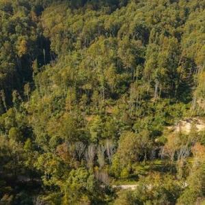 DJI_20250918160006_0171_D