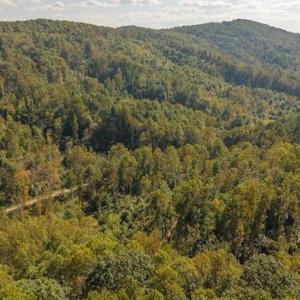 DJI_20250918155911_0167_D