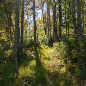 DJI_20250918161455_0192_D