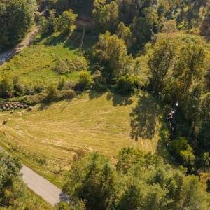 DJI_20250918162637_0213_D