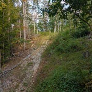 DJI_20250918160511_0176_D
