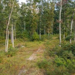 DJI_20250918160800_0179_D