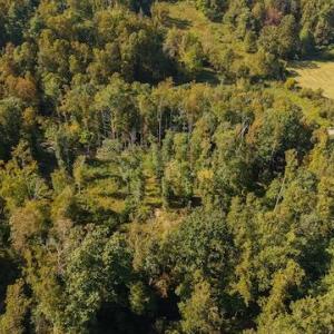 DJI_20250918160923_0182_D