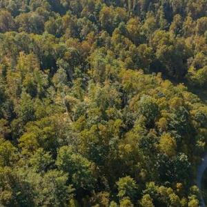 DJI_20250918160945_0184_D