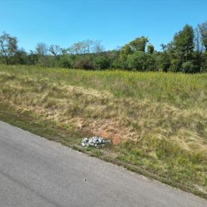 Level & Gently Sloped to Water