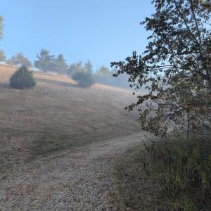 PXL_20250918_115455030