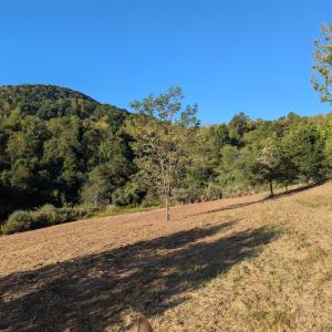 PXL_20250918_124334352