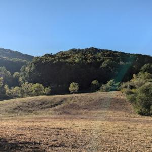 PXL_20250918_124348373